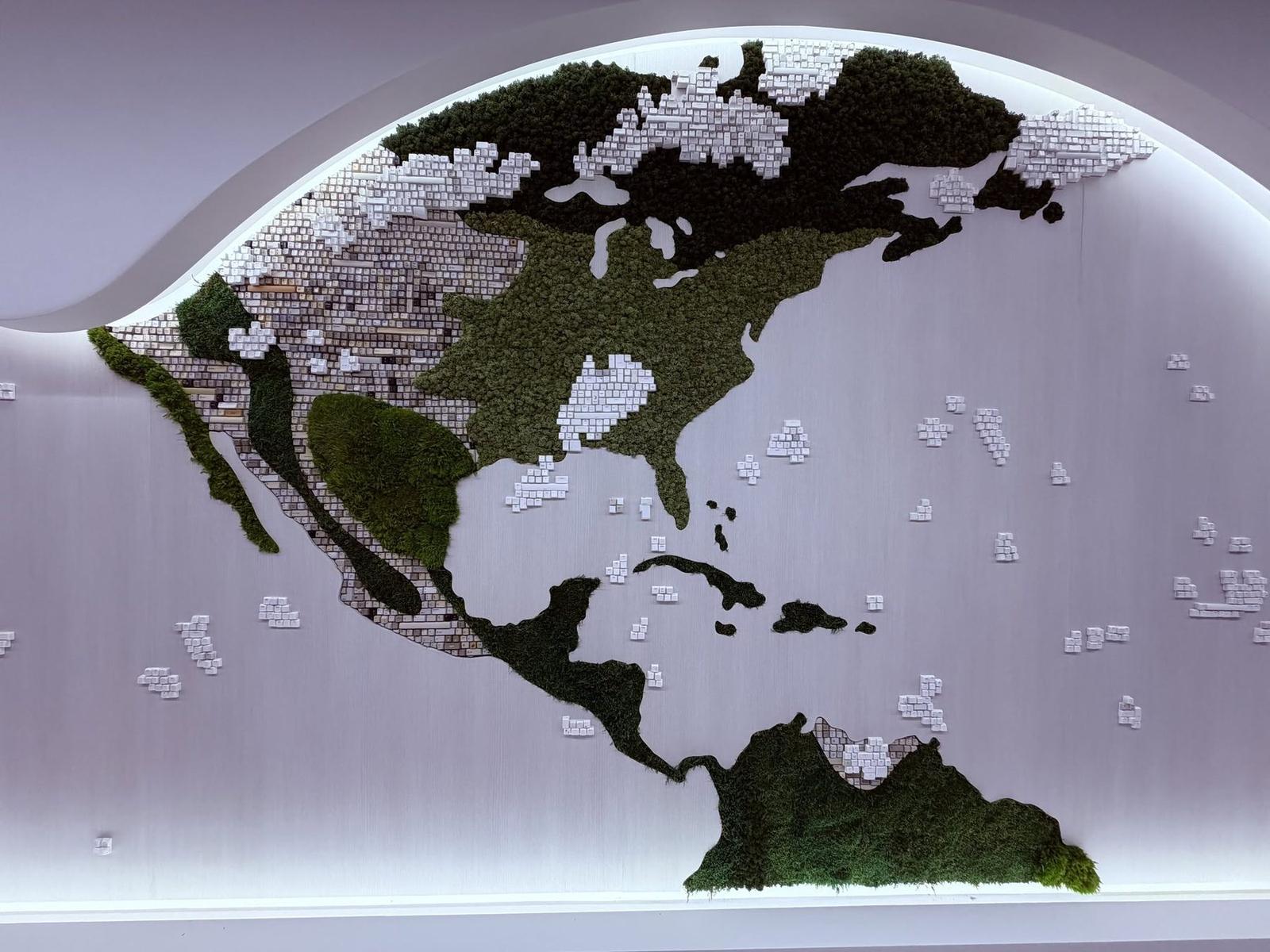 Americas section of the mixed media world map