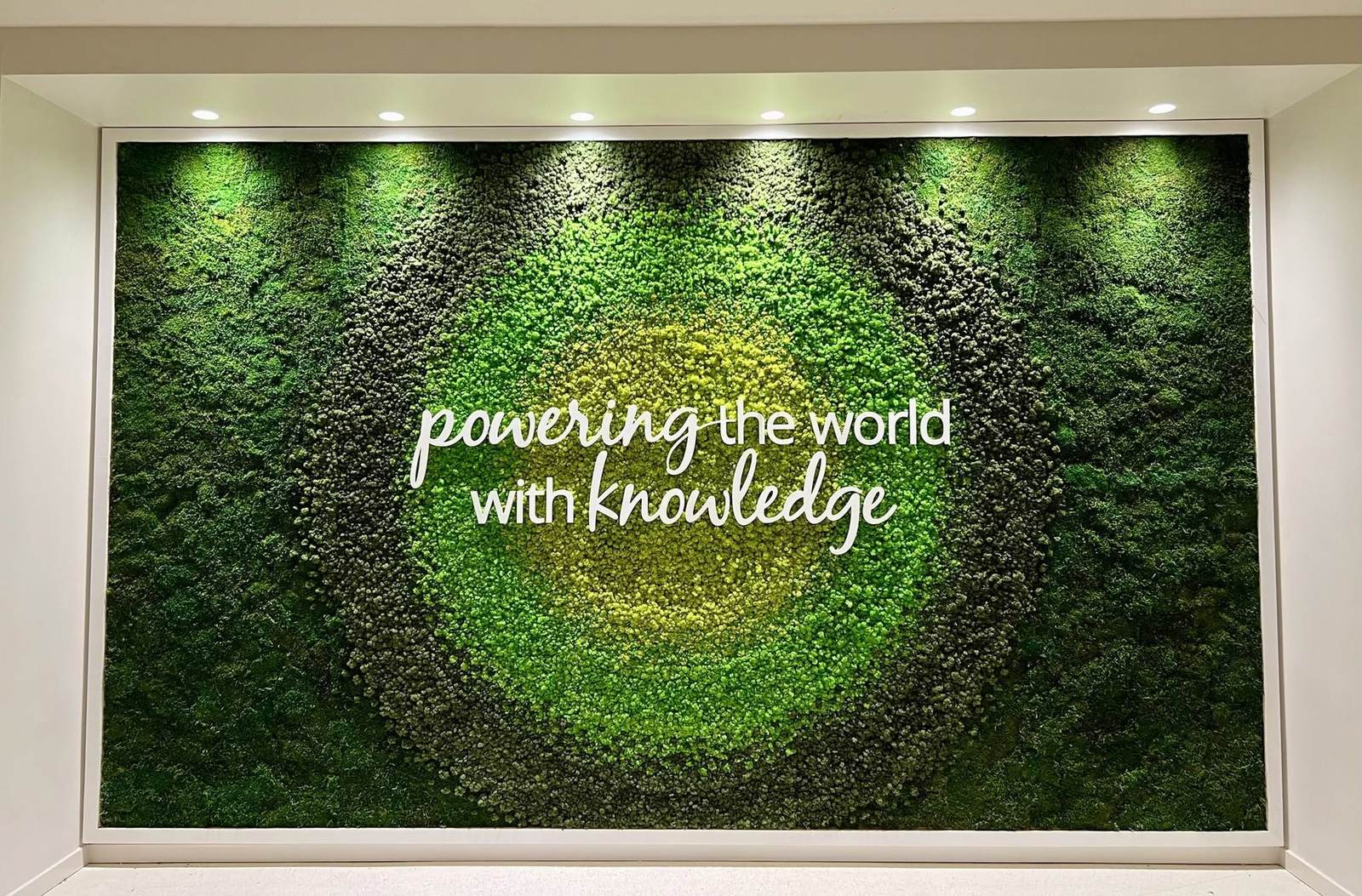 Gradient moss wall with dimensional script lettering